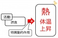 2013年2月27日 (水) 10:17時点における版のサムネイル