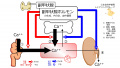 2020年8月12日 (水) 11:28時点における版のサムネイル