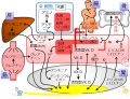 2013年2月27日 (水) 10:09時点における版のサムネイル