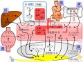 2015年6月10日 (水) 16:13時点における版のサムネイル