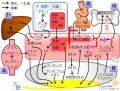 2016年3月28日 (月) 15:16時点における版のサムネイル