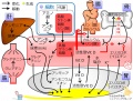 2016年3月28日 (月) 15:31時点における版のサムネイル