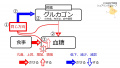 2020年8月12日 (水) 15:44時点における版のサムネイル