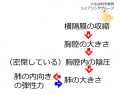 2021年3月5日 (金) 09:56時点における版のサムネイル