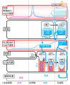 2021年3月4日 (木) 17:04時点における版のサムネイル