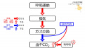 2020年9月21日 (月) 07:30時点における版のサムネイル