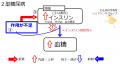 2016年8月26日 (金) 12:06時点における版のサムネイル