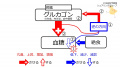 2020年8月12日 (水) 15:56時点における版のサムネイル