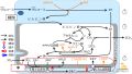 2025年2月14日 (金) 09:23時点における版のサムネイル