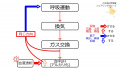 2020年10月23日 (金) 11:05時点における版のサムネイル