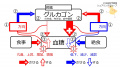 2021年3月7日 (日) 22:20時点における版のサムネイル