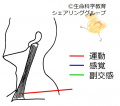 2021年8月2日 (月) 16:24時点における版のサムネイル