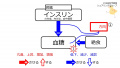 2021年11月22日 (月) 14:50時点における版のサムネイル