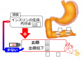 2015年3月26日 (木) 09:33時点における版のサムネイル