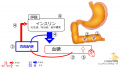 2020年8月11日 (火) 20:55時点における版のサムネイル