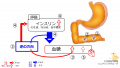 2021年10月10日 (日) 09:04時点における版のサムネイル