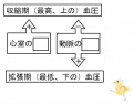 2015年3月30日 (月) 11:09時点における版のサムネイル