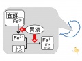 2013年2月27日 (水) 10:03時点における版のサムネイル