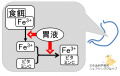 2015年9月23日 (水) 01:38時点における版のサムネイル