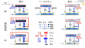 2020年2月15日 (土) 16:50時点における版のサムネイル