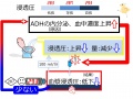 2013年2月27日 (水) 10:18時点における版のサムネイル