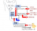 2021年3月6日 (土) 19:00時点における版のサムネイル