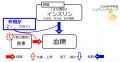 2017年3月6日 (月) 08:42時点における版のサムネイル