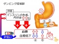 2013年2月27日 (水) 10:10時点における版のサムネイル