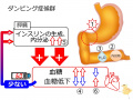 2017年9月28日 (木) 13:02時点における版のサムネイル