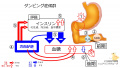 2020年8月11日 (火) 20:35時点における版のサムネイル