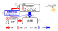 2019年6月28日 (金) 11:33時点における版のサムネイル