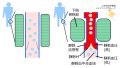 2025年5月22日 (木) 11:35時点における版のサムネイル
