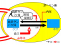 2020年5月28日 (木) 10:04時点における版のサムネイル
