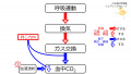 2020年9月21日 (月) 07:26時点における版のサムネイル