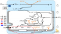 2022年6月3日 (金) 11:55時点における版のサムネイル