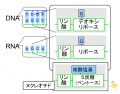 2013年2月27日 (水) 10:16時点における版のサムネイル