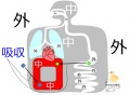 2013年3月22日 (金) 01:13時点における版のサムネイル