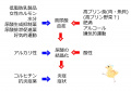 2013年2月27日 (水) 10:10時点における版のサムネイル