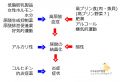 2017年8月16日 (水) 13:51時点における版のサムネイル