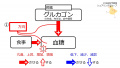 2020年8月12日 (水) 15:34時点における版のサムネイル