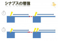 2011年4月8日 (金) 12:11時点における版のサムネイル