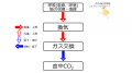 2017年4月27日 (木) 15:35時点における版のサムネイル