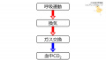 2020年9月21日 (月) 07:13時点における版のサムネイル