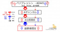 2020年1月9日 (木) 14:11時点における版のサムネイル