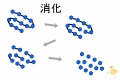 2011年4月8日 (金) 12:08時点における版のサムネイル