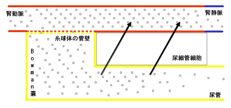 ファイル:00279.jpg