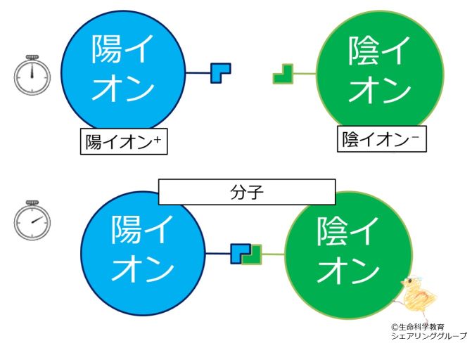 イオン結合.jpg