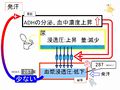 2011年4月8日 (金) 11:15時点における版のサムネイル