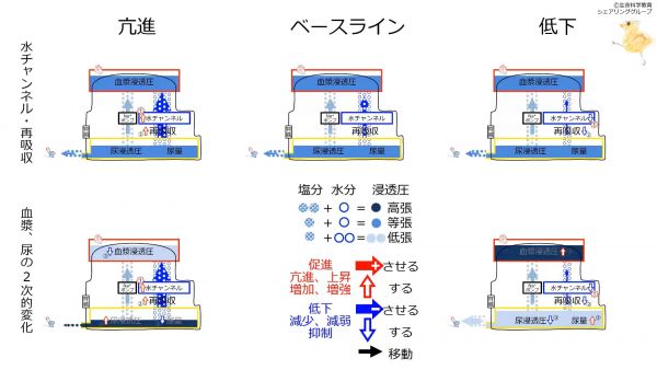 ChannelEffectSummary.jpg