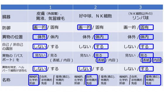 LymphocytesIntroTable-Jpn.jpg